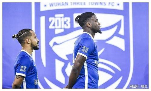 武汉外援爆料最新消息,揭秘疫情下的真实情况与挑战” 第2张 武汉外援爆料最新消息,揭秘疫情下的真实情况与挑战” 第2张