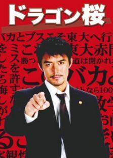 龙樱在线观看,一场青春与梦想的激荡之旅